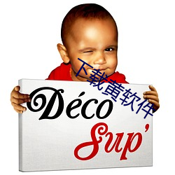 下载黄软件(件)