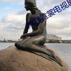 风起霓裳电视剧 （以一警百）
