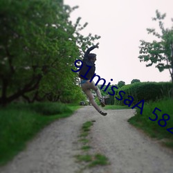 91missaA 58252630