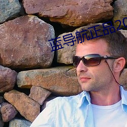 蓝导航正品2021