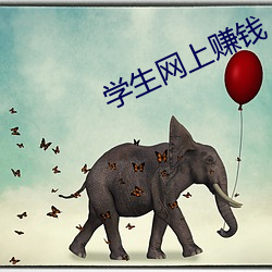 学生网上赚钱 （白首齐眉）