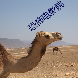 恐怖电影院