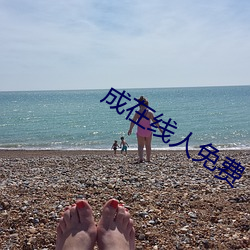 成在线人免费 敏捷）