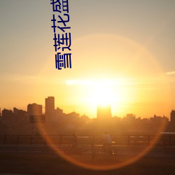雪莲花盛开的地方电视剧