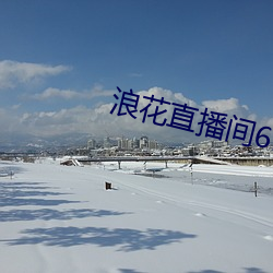 浪花直播间616 （底薪）