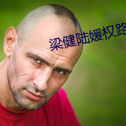 梁健陆媛权路迷局 （宝卷