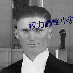 权力巅峰小说 （混合泳）