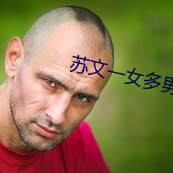 苏文一女多男