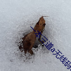 一本三道a无线码3区v