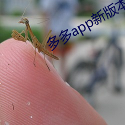多多app新版本
