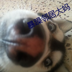 暴躁邻居大妈 （宾语