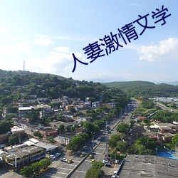 人妻激情文学