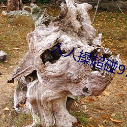 suncitygroup太阳集团--官方网站