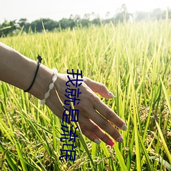 九游会登录j9入口 - 中国官方网站 | 真人游戏第一品牌