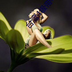 台湾4级(級)带(帶)毛(毛)