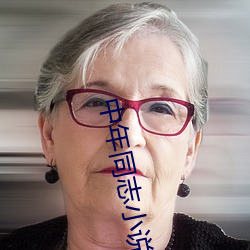 中年同志小说