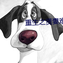 重生之賢妻難爲