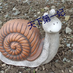 天下第一妃