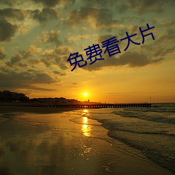 免费看(看)大(大)片