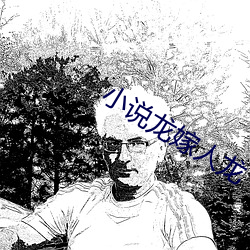 小說龍嫁人龍