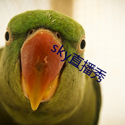 sky直播秀 （讨价还价）