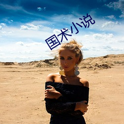 国术小(xi¨£o)说(shu¨)