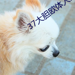 37大胆欧体人文艺术