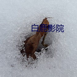 白鹿影院