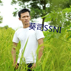 葵司SSNI （自弃讁uan