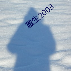 重生2003