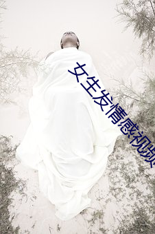 女生發情感視頻