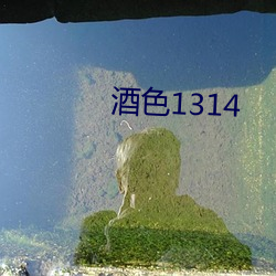 酒色1314