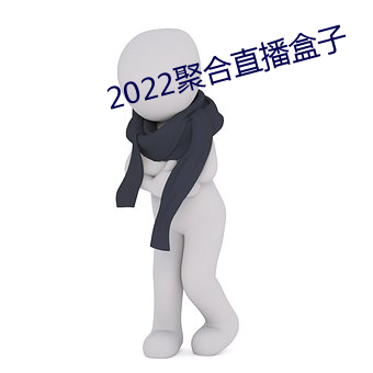 2022聚合直播盒子