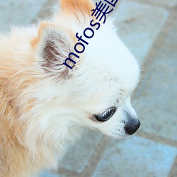 mofos美国射频