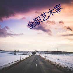 全职(職)艺术家