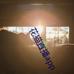花猫直播(播)app