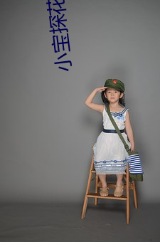 小宝探花资源(源)