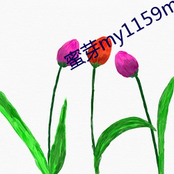 蜜芽my1159my网站