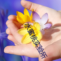 水蜜桃實驗所