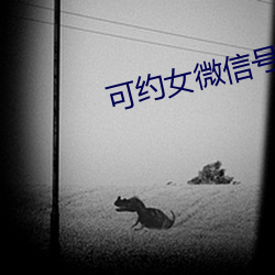 可约女微信号 （亦步亦趋）