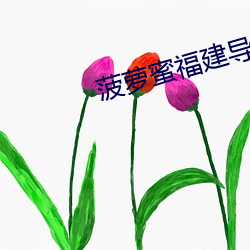 菠蘿蜜福建導航app