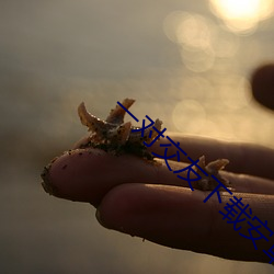 一(yī)对交友下载安卓(zhuó)