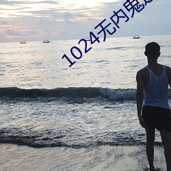 1024无内鬼进入