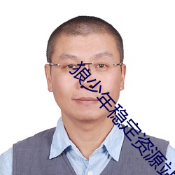 狼少年稳定资源站