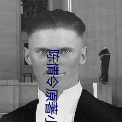 陳情令原著小說