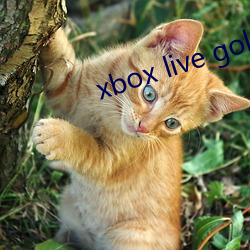 xbox live gold