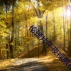 伦理片午夜视频在线观看免