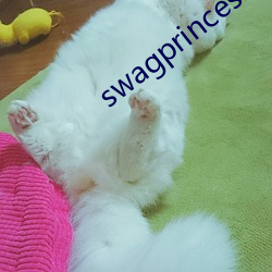 swagprincess最新作品
