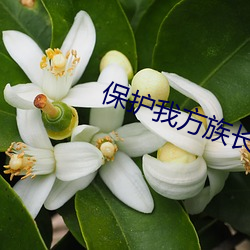 保護我方族長