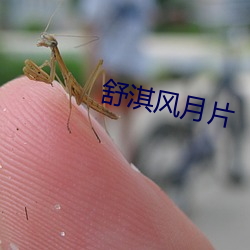 舒淇风月(月)片